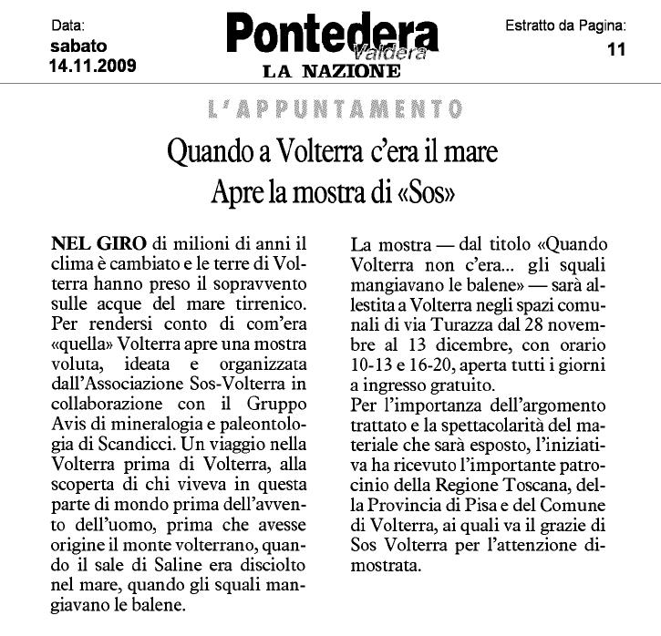 Quando Volterra non c''era... gli squali mangiavano le balene